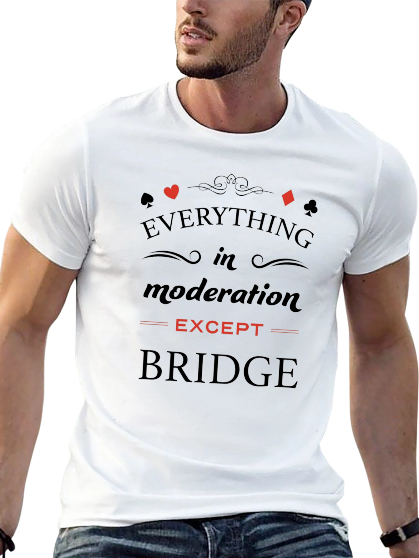Everything in Moderation Except Bridge T-Shirt