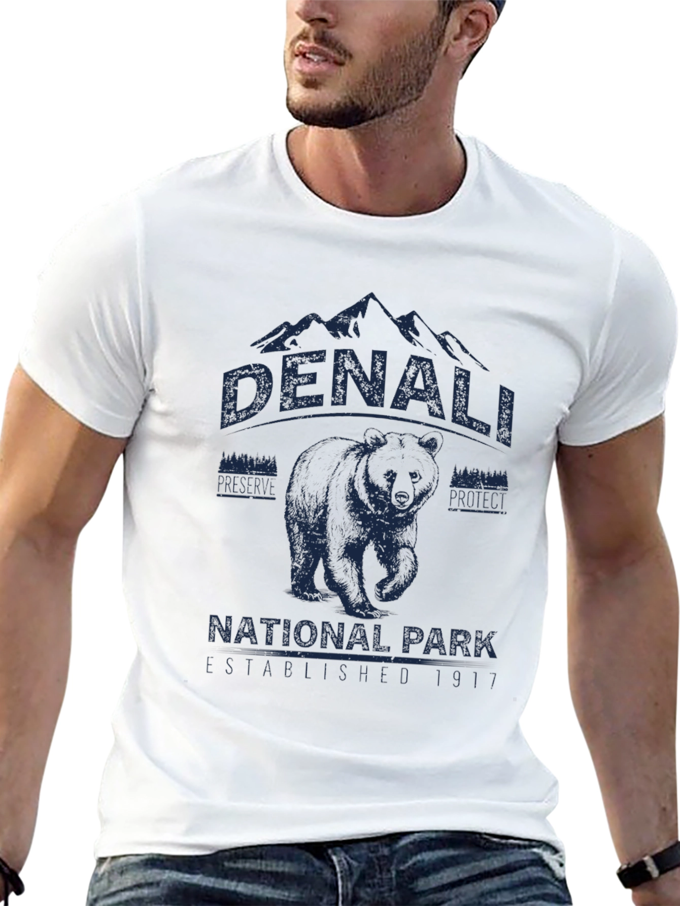 Denali National Park Graphic T-Shirt
