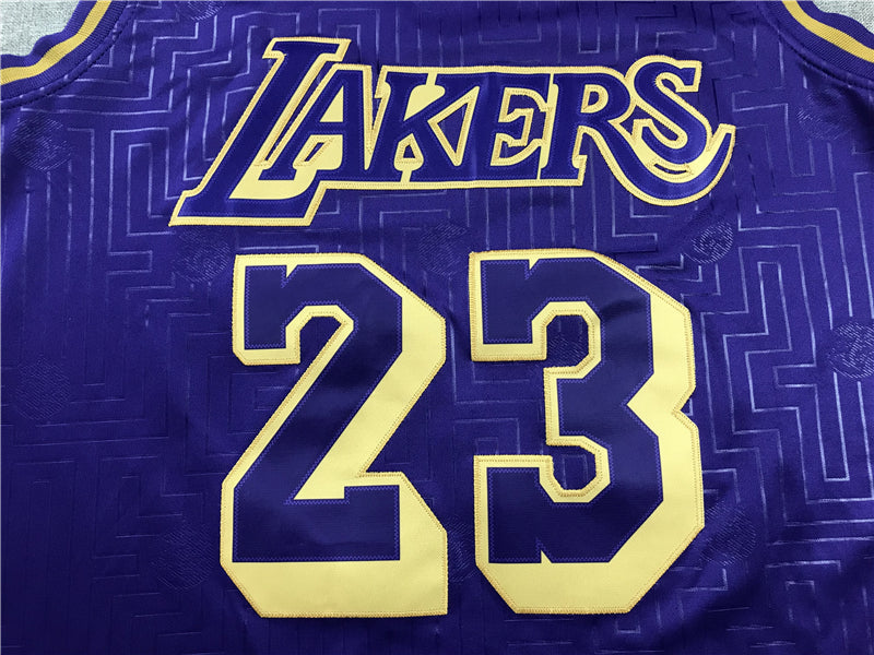 Men's Los Angeles Lakers LeBron James 2018-19 Hardwood Classics Swingman Jerseys
