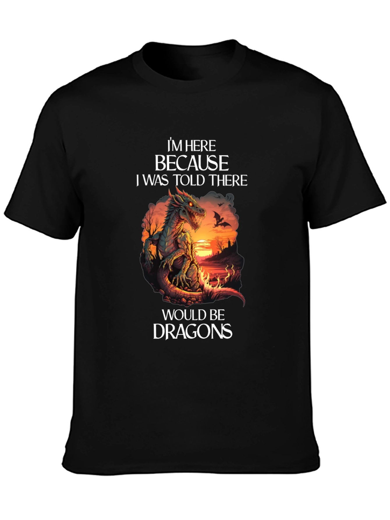 Dragon T-Shirt: Im Here Because Dragons Graphic Tee