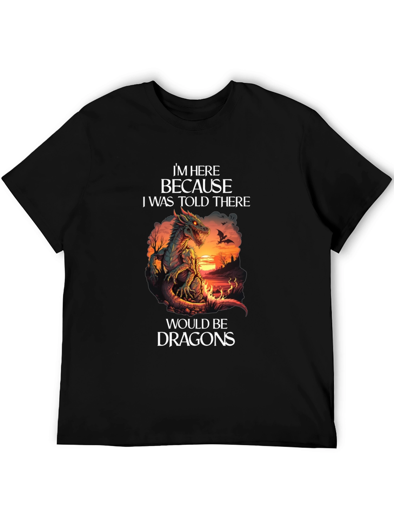 Dragon T-Shirt: Im Here Because Dragons Graphic Tee