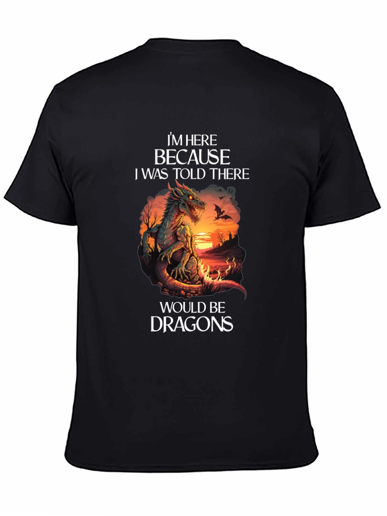 Dragon T-Shirt: Im Here Because Dragons Graphic Tee