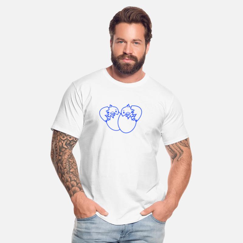 2 Birds Two Chicks Egg Hatch Born Eggshell Babies