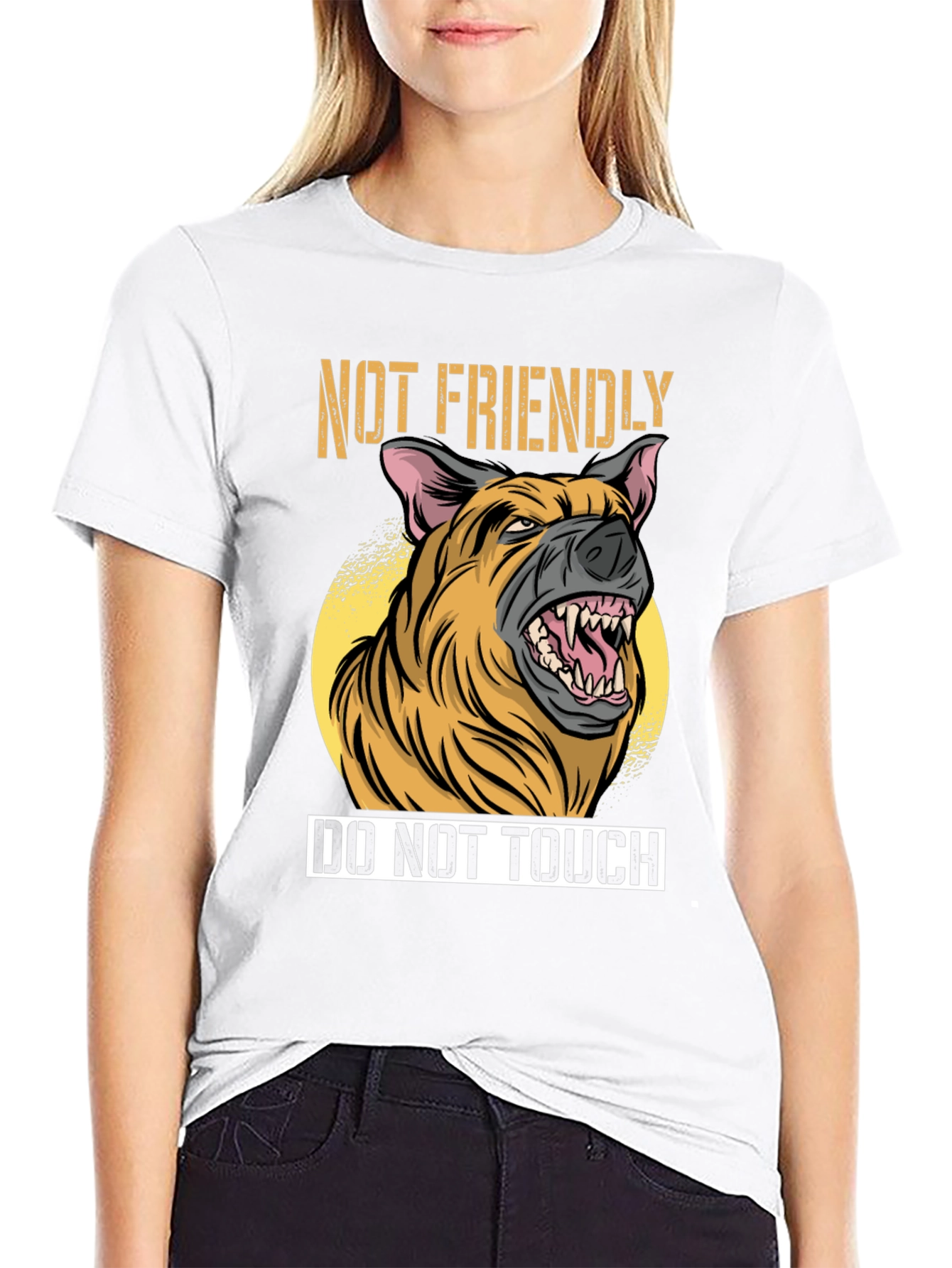 Not Friendly Do Not Touch T-Shirt