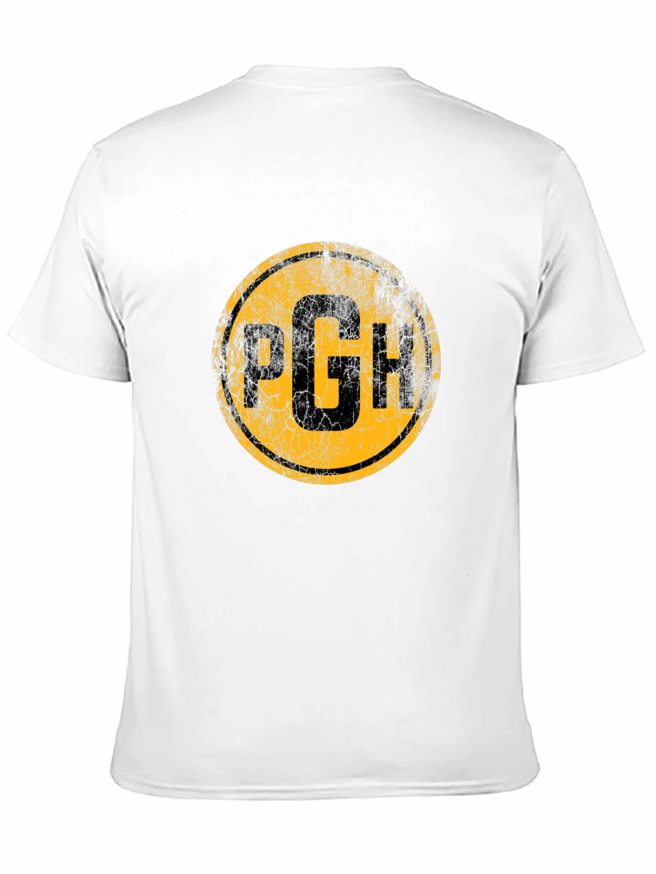 Pittsburgh PGH Distressed Graphic T-Shirt
