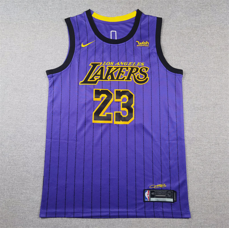 Men's Los Angeles Lakers LeBron James #23 Purple Swingman Jerseys - City Edition