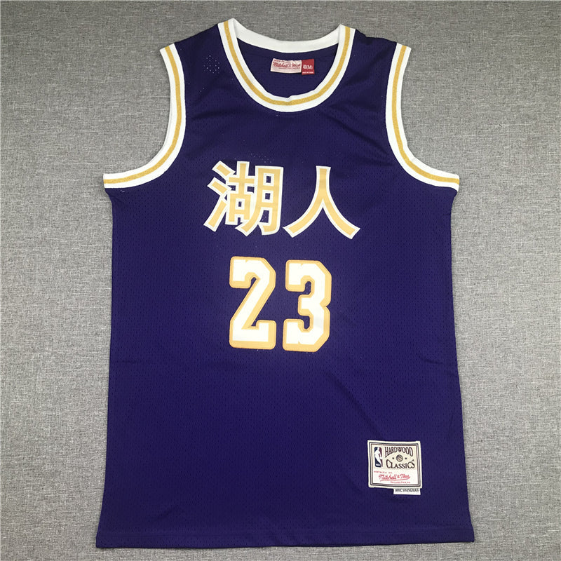 Men's Los Angeles Lakers LeBron James Purple Hardwood Classics Swingman Jerseys