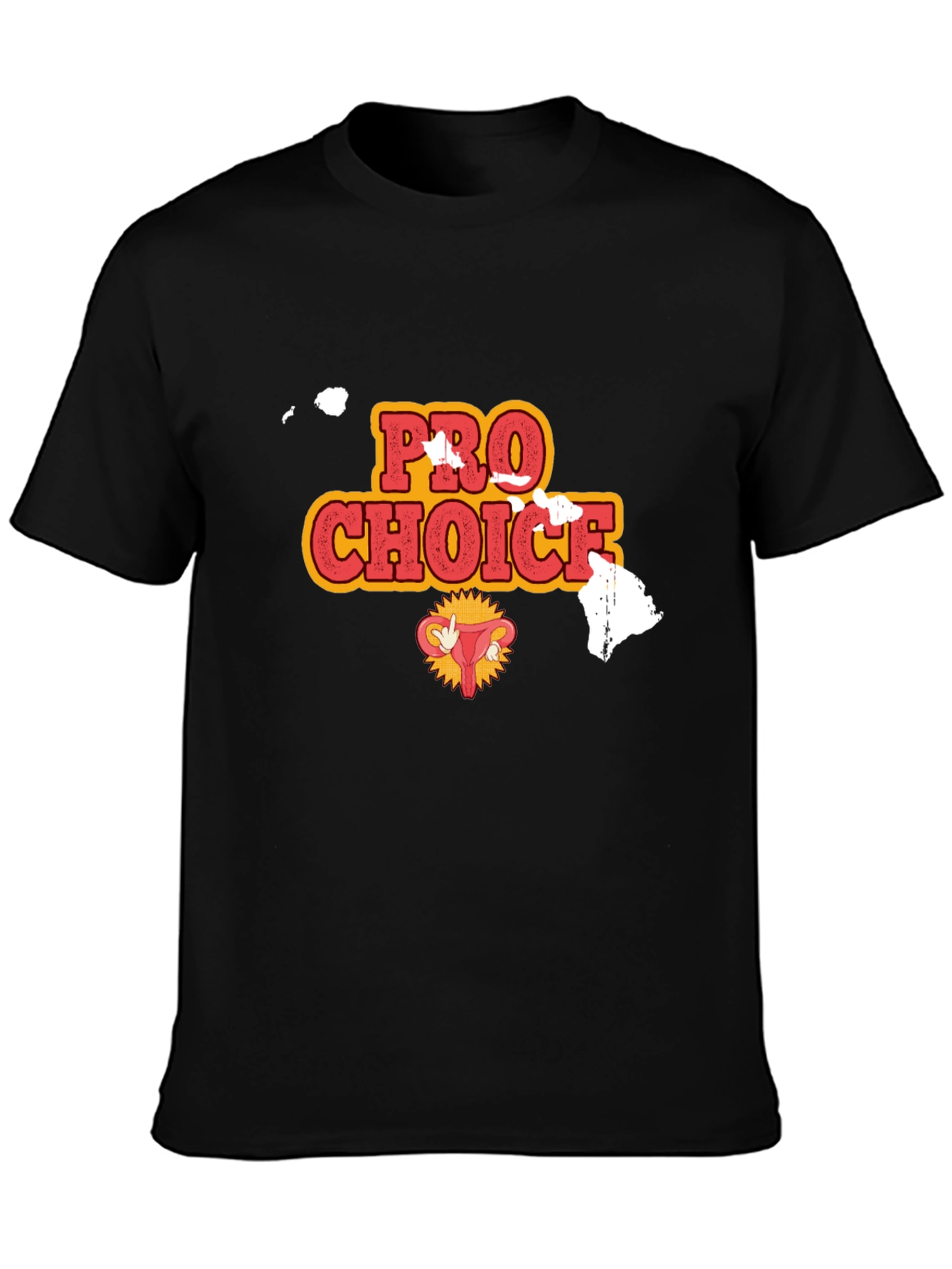 Pro Choice Hawaii T-Shirt