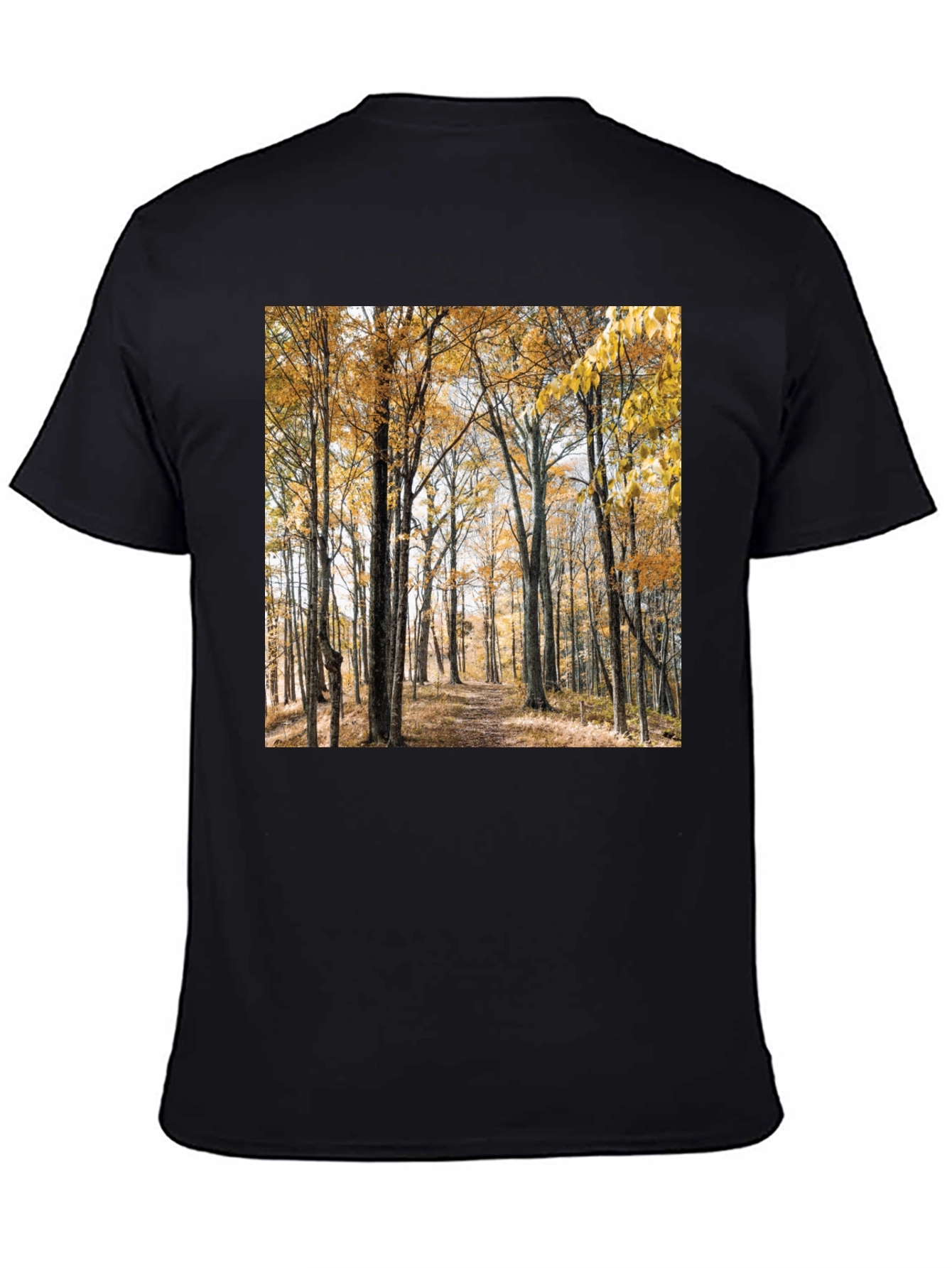 Autumn Forest Print T-Shirt