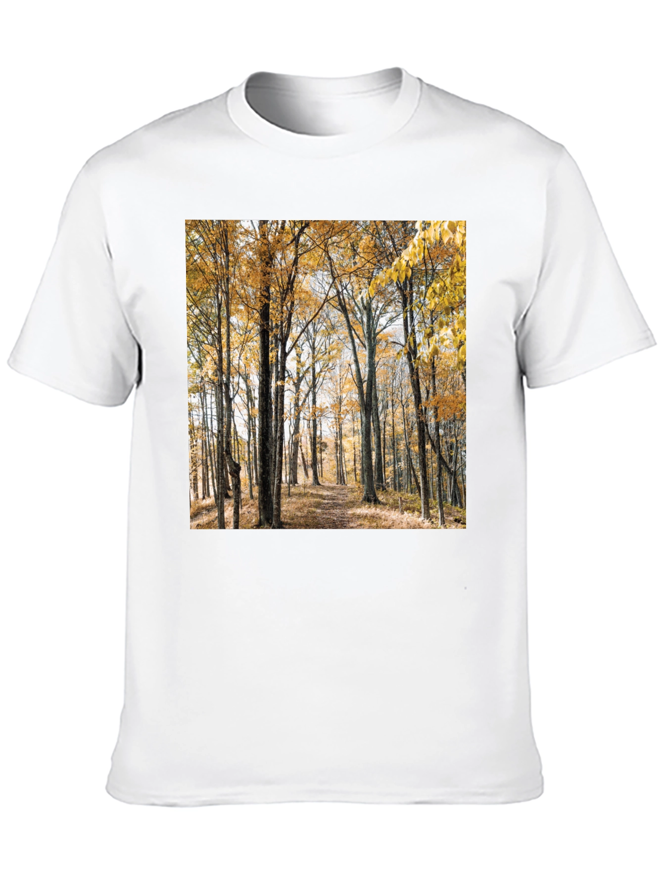 Autumn Forest Print T-Shirt