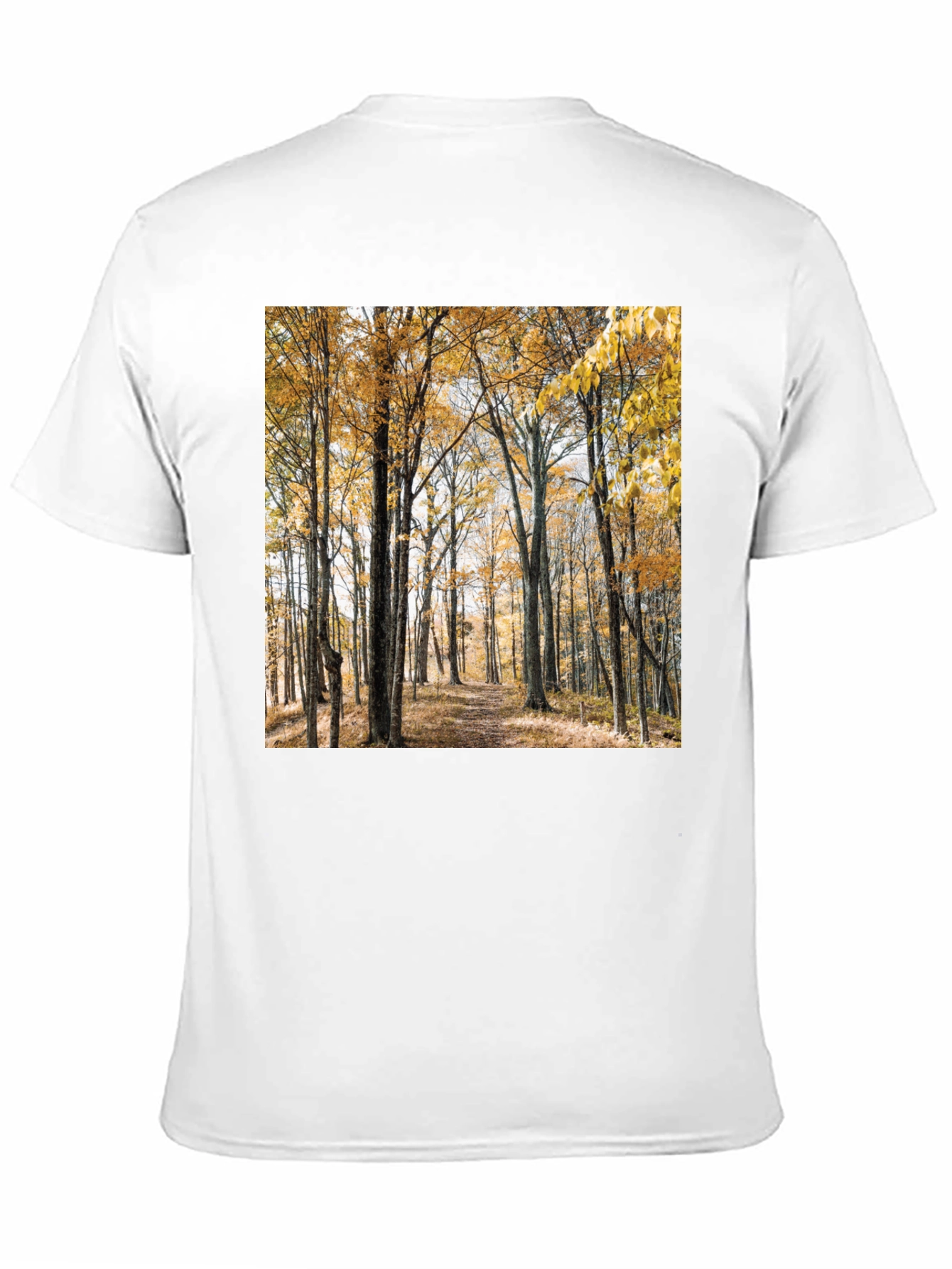 Autumn Forest Print T-Shirt