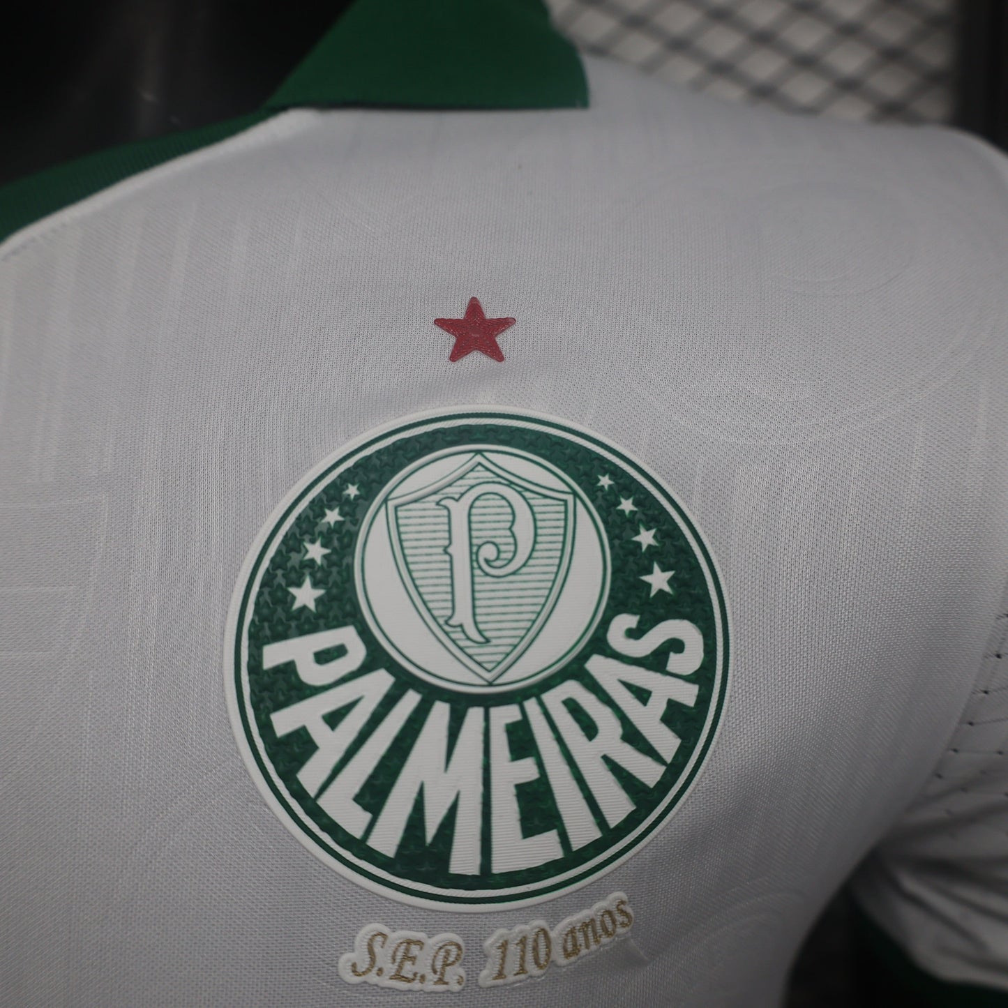 24-25 Palmeiras away player jersey