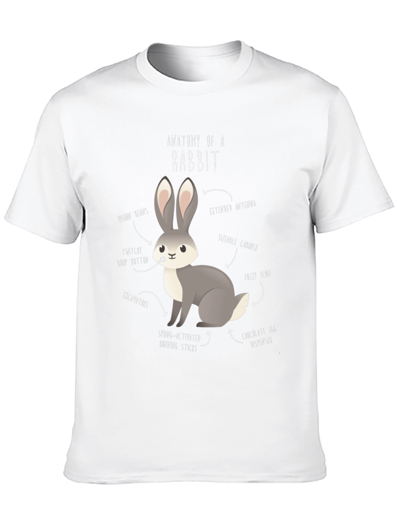 Anatomy of a Rabbit Graphic T-Shirt