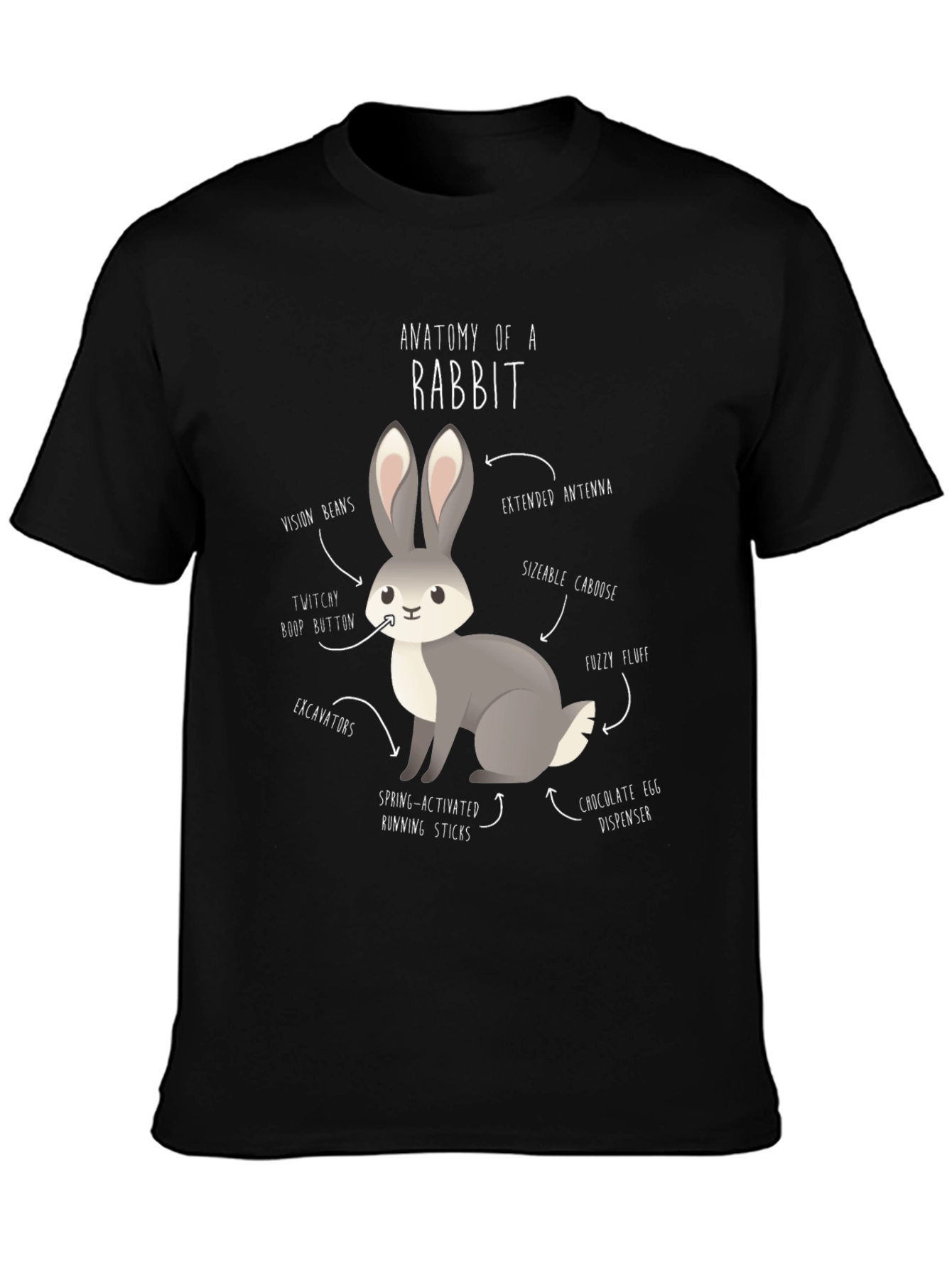 Anatomy of a Rabbit Graphic T-Shirt