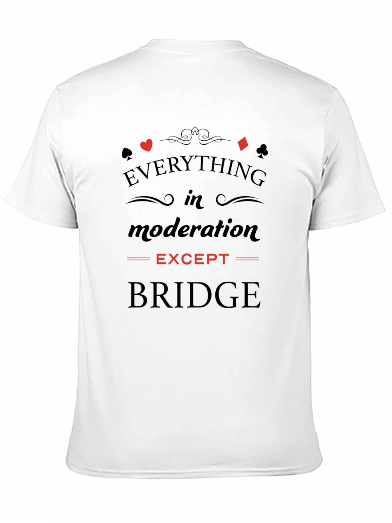Everything in Moderation Except Bridge T-Shirt