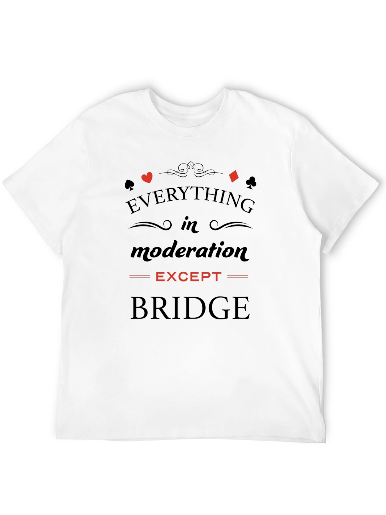 Everything in Moderation Except Bridge T-Shirt