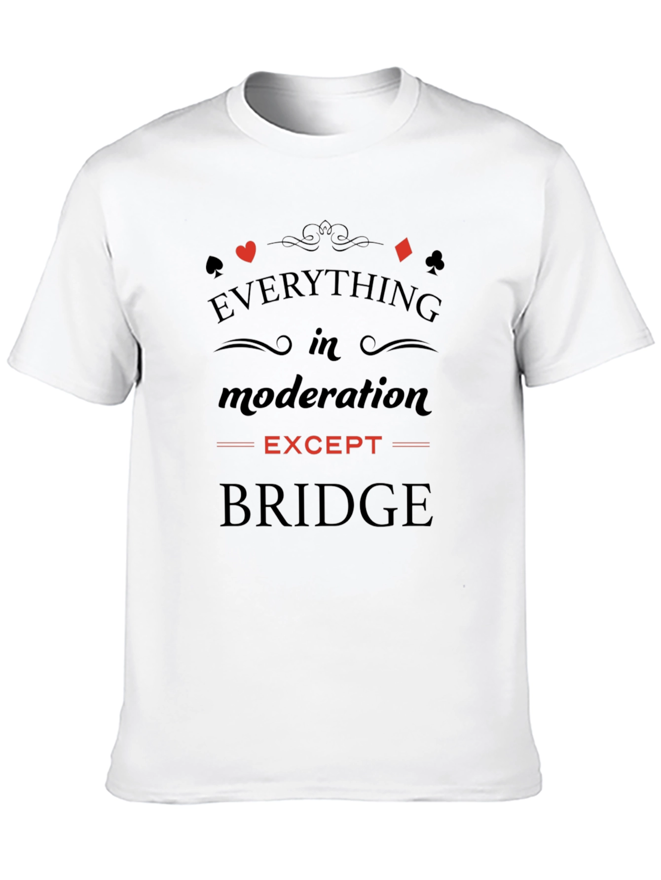 Everything in Moderation Except Bridge T-Shirt