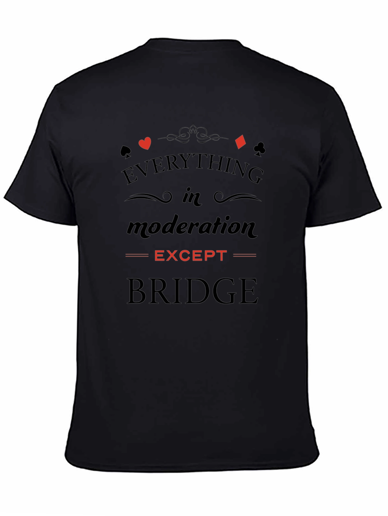 Everything in Moderation Except Bridge T-Shirt