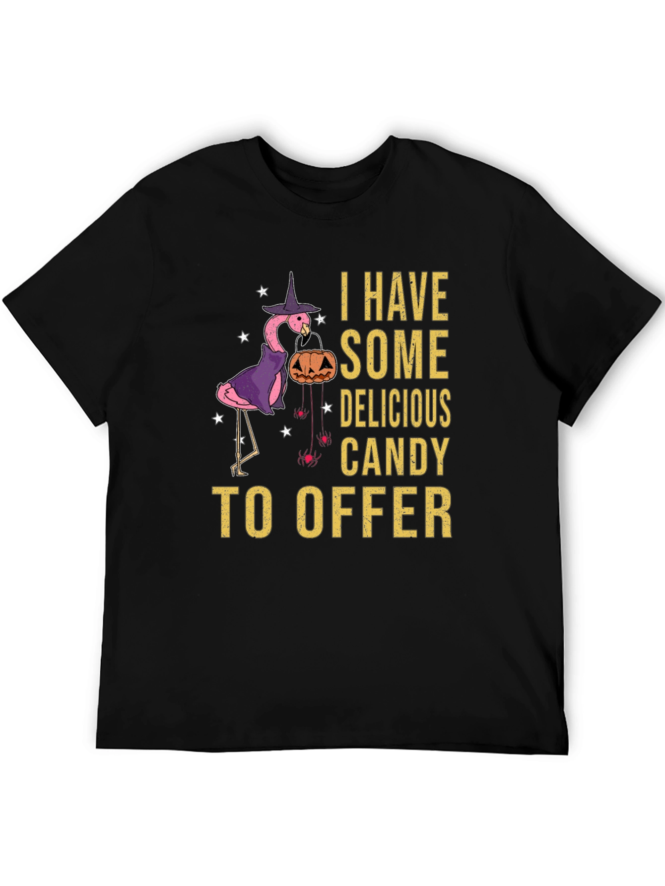 Halloween Flamingo T-Shirt