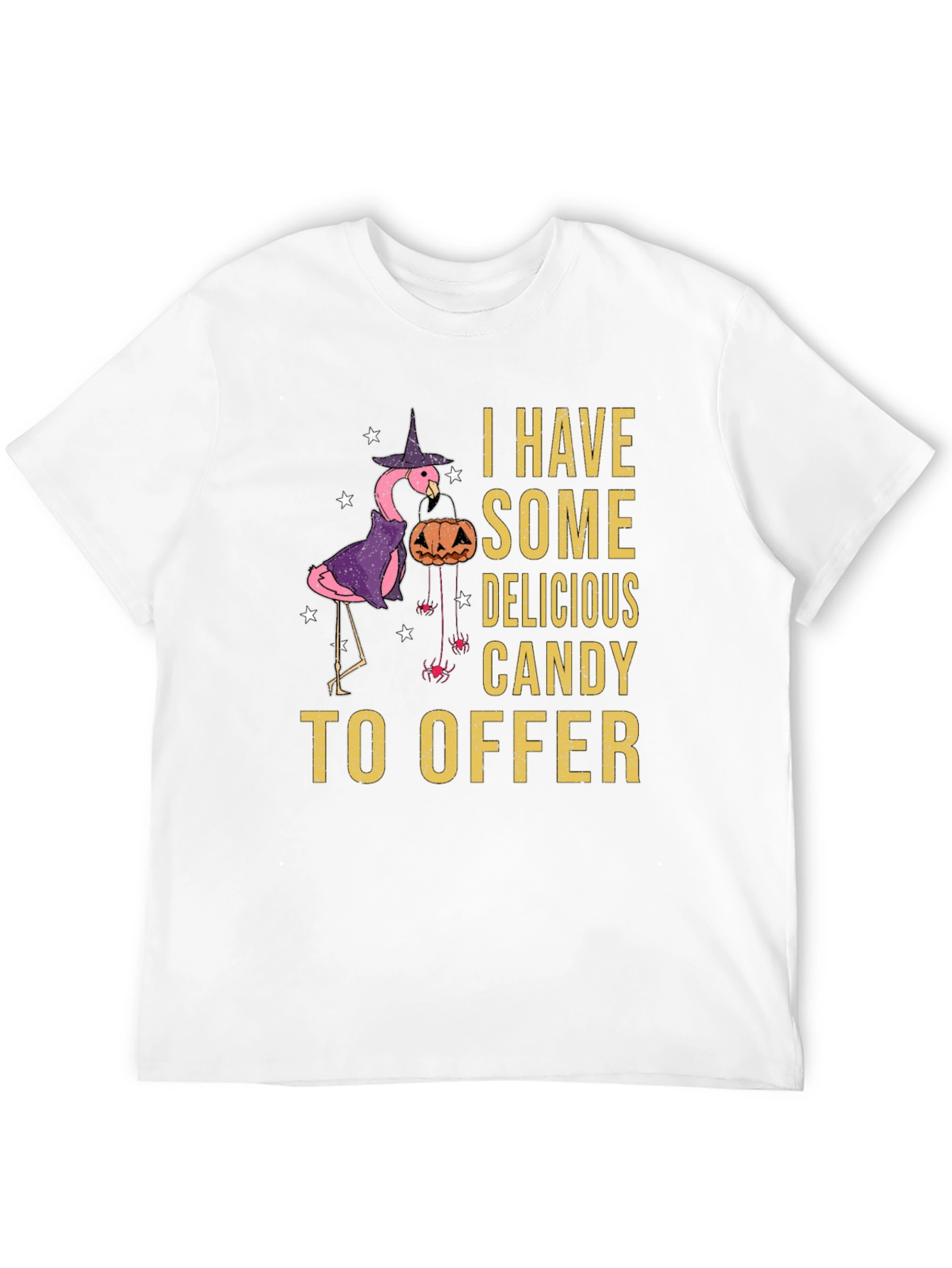Halloween Flamingo T-Shirt