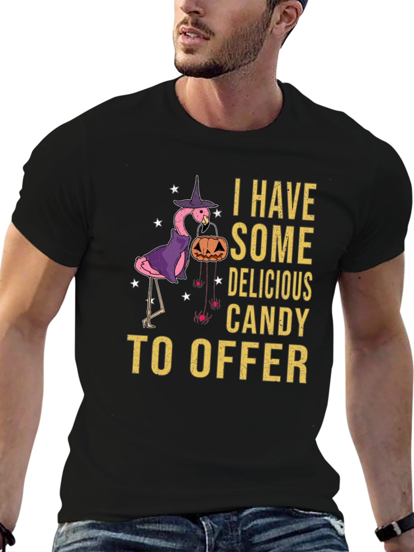 Halloween Flamingo T-Shirt
