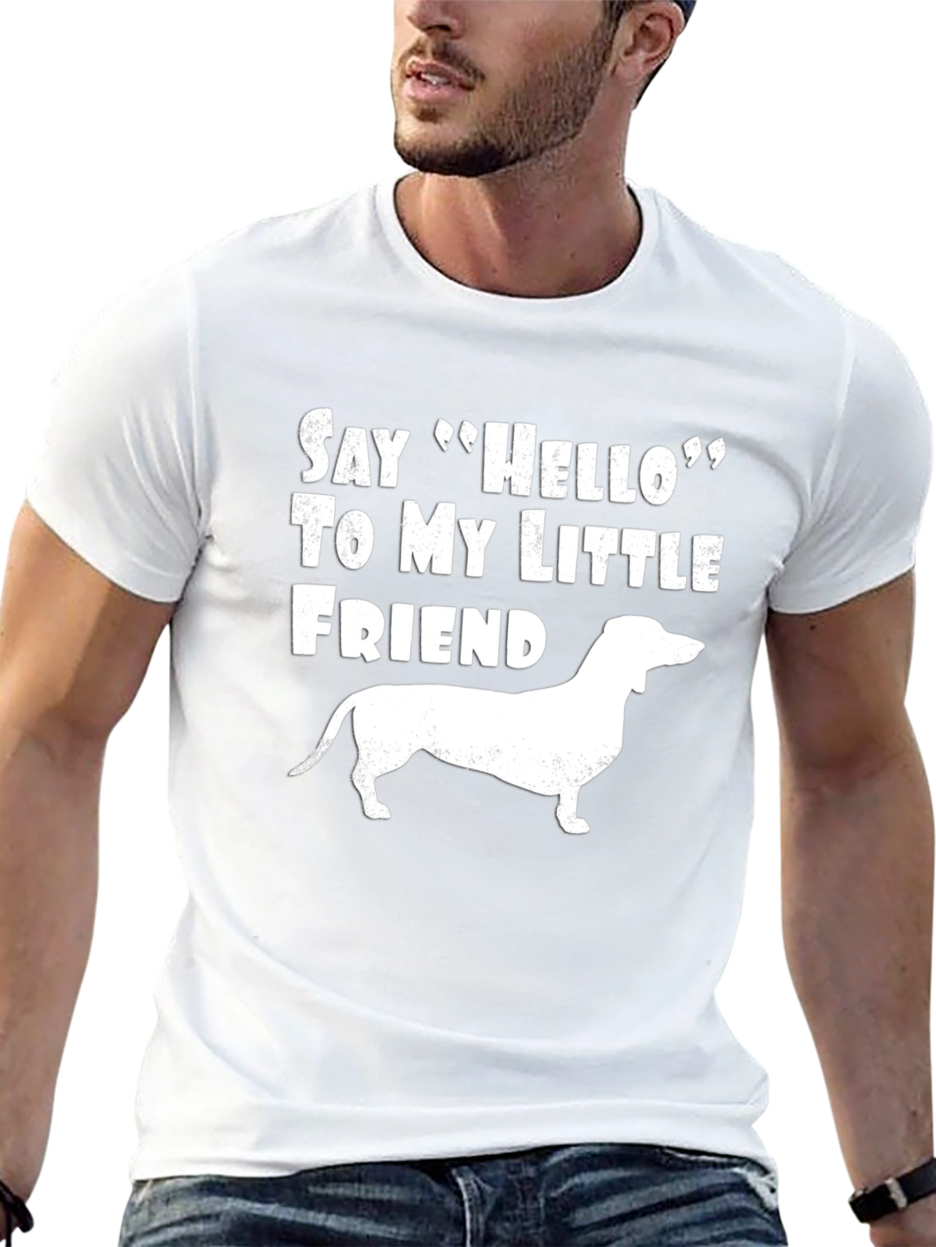Dachshund Dog T-Shirt: Say Hello to My Little Friend