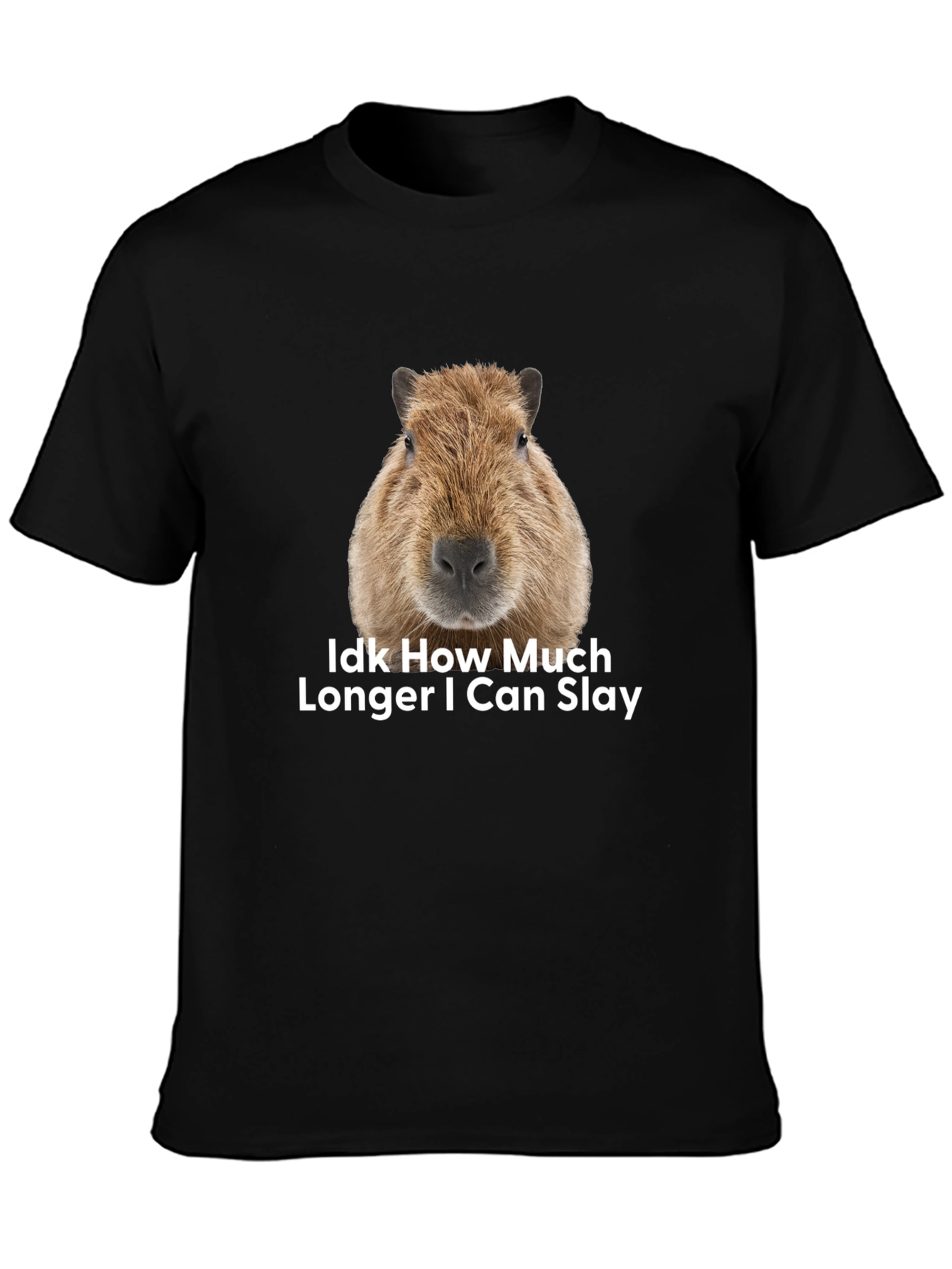 Capybara Idk How Much Longer I Can Slay T-Shirt