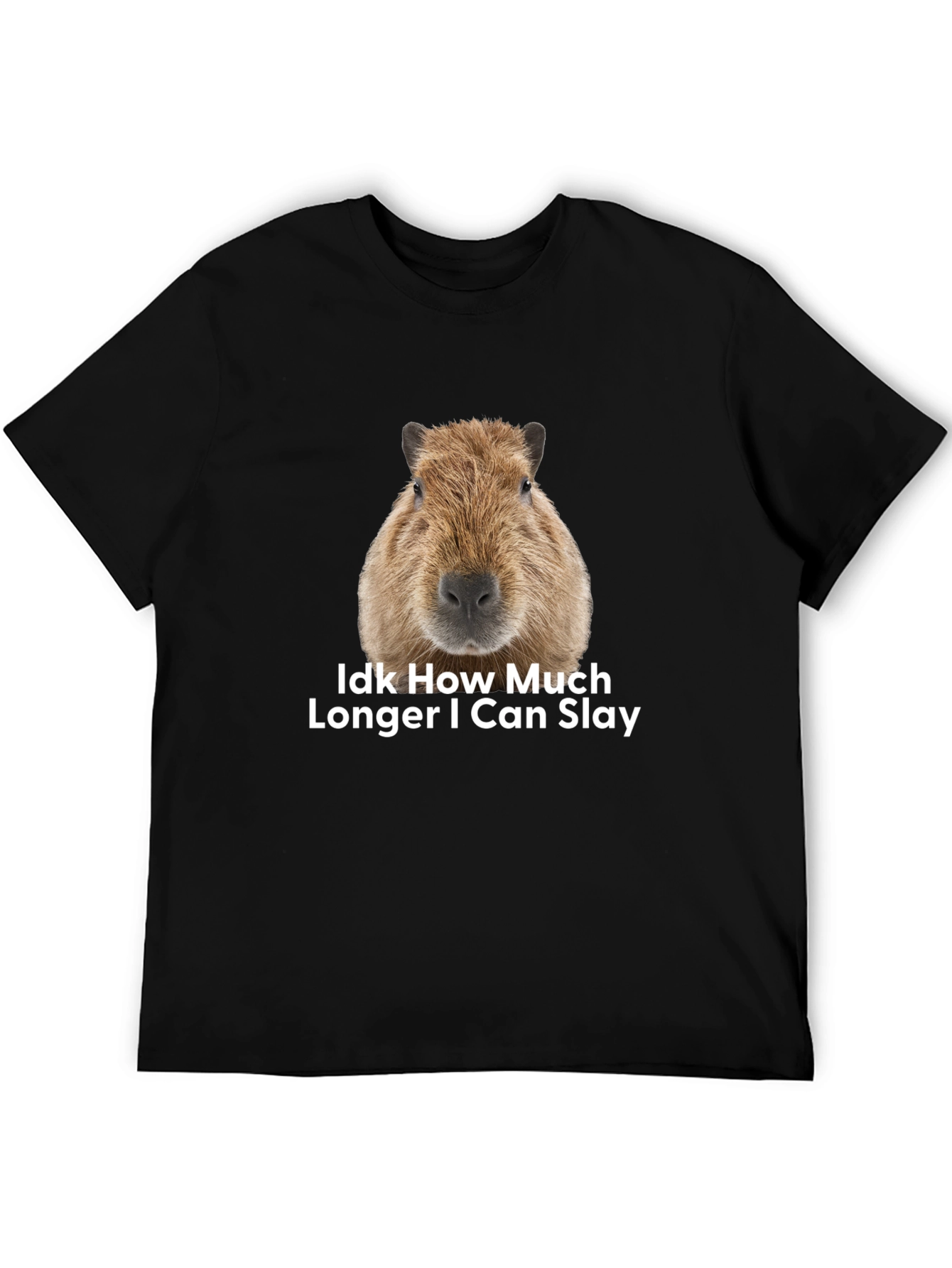 Capybara Idk How Much Longer I Can Slay T-Shirt