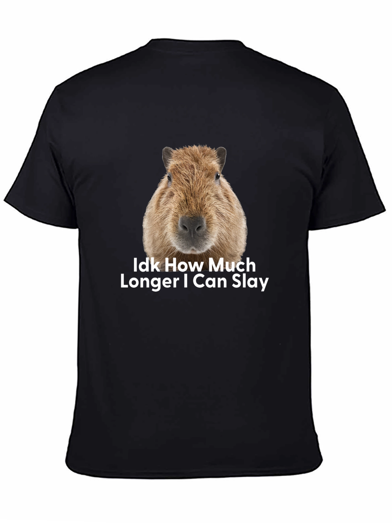 Capybara Idk How Much Longer I Can Slay T-Shirt