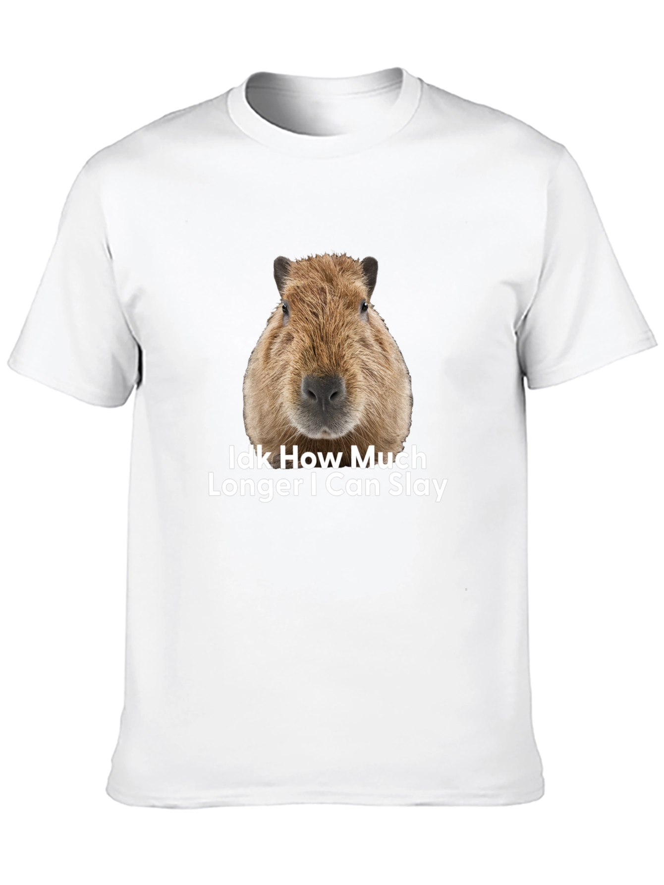 Capybara Idk How Much Longer I Can Slay T-Shirt