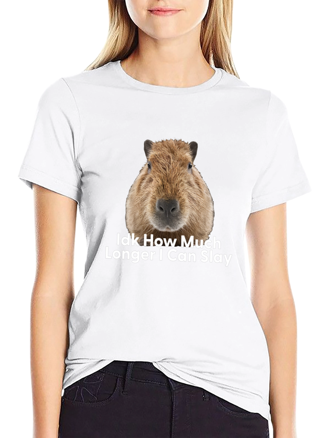 Capybara Idk How Much Longer I Can Slay T-Shirt