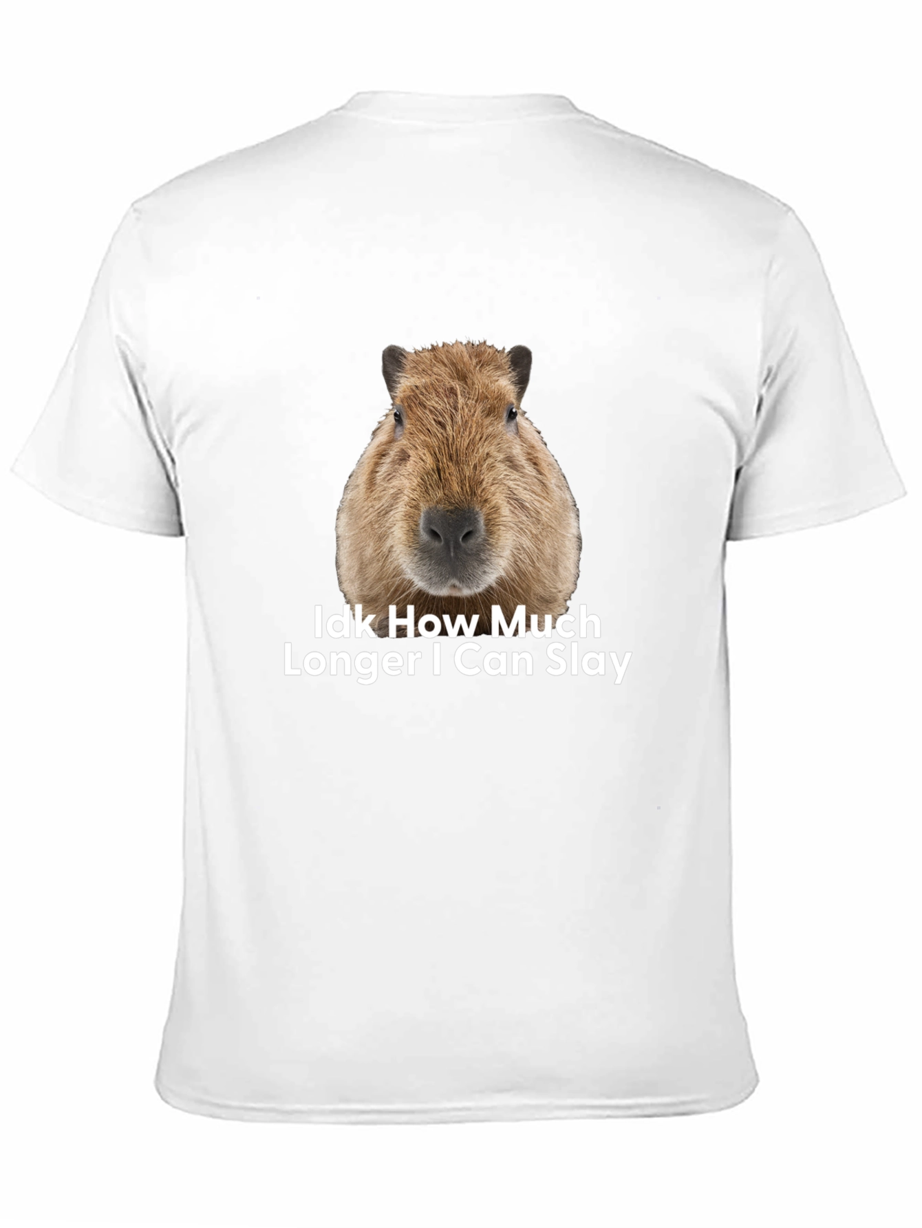 Capybara Idk How Much Longer I Can Slay T-Shirt