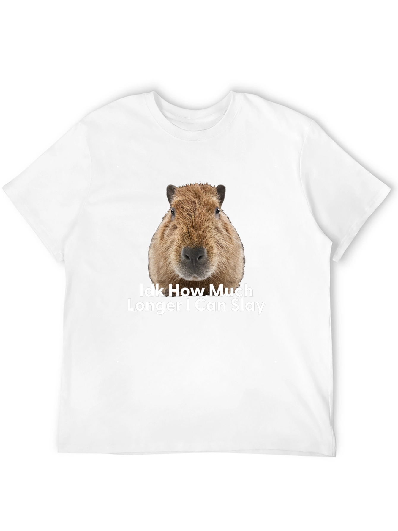 Capybara Idk How Much Longer I Can Slay T-Shirt