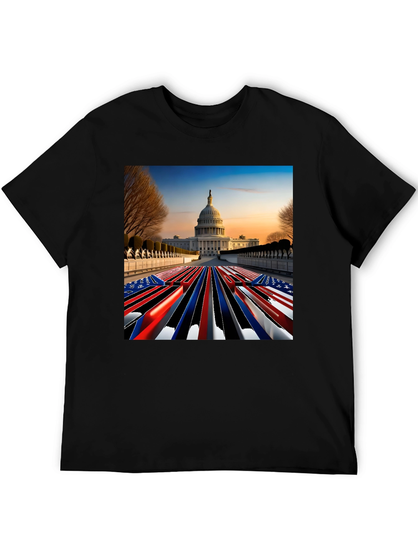Capitol USA Patriotic T-Shirt