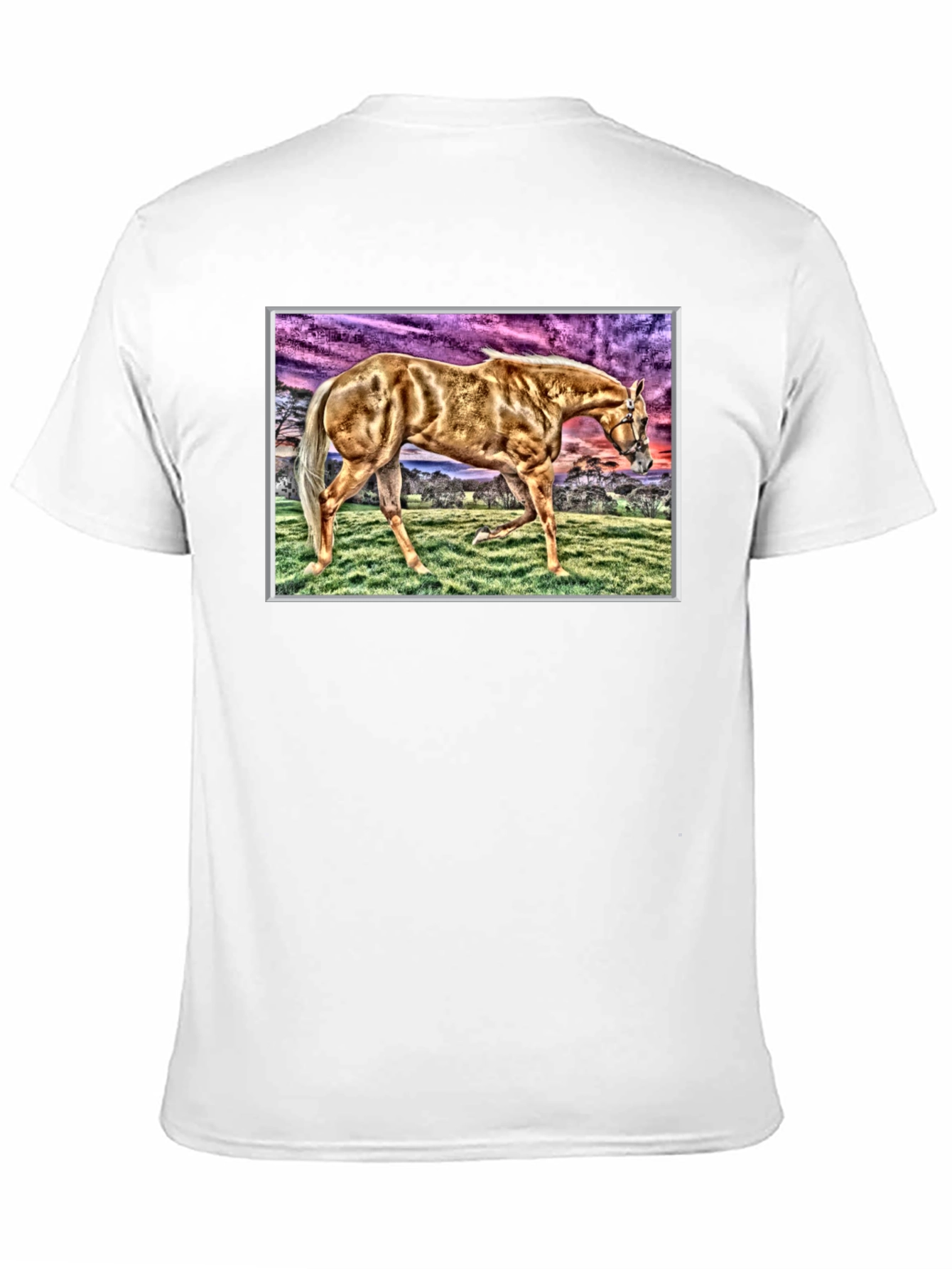 Horse Graphic Tee - Black Cotton Casual Shirt
