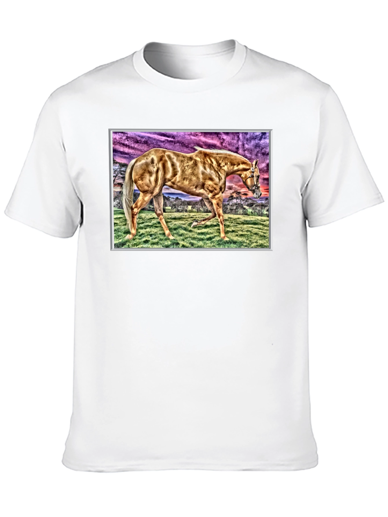 Horse Graphic Tee - Black Cotton Casual Shirt