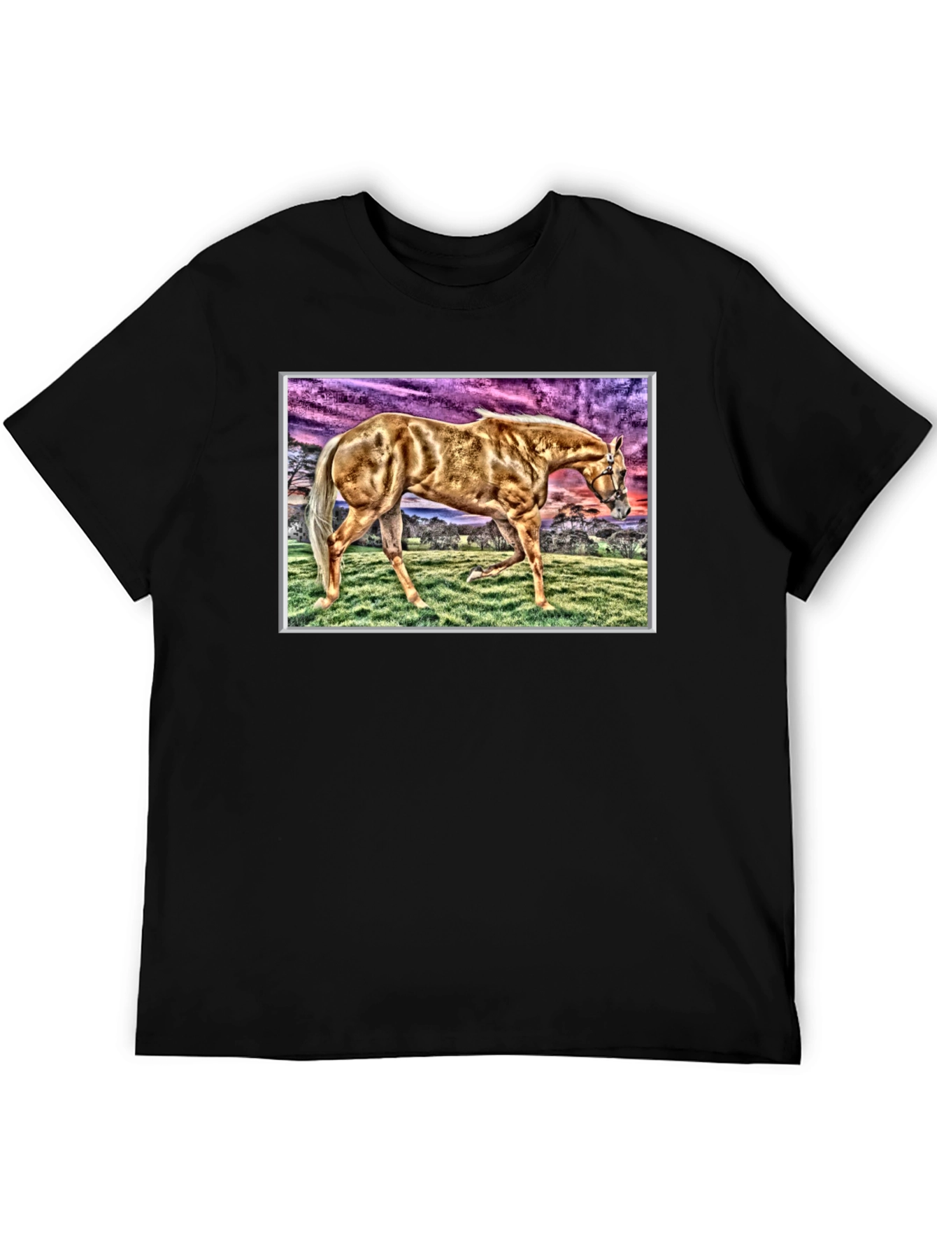 Horse Graphic Tee - Black Cotton Casual Shirt