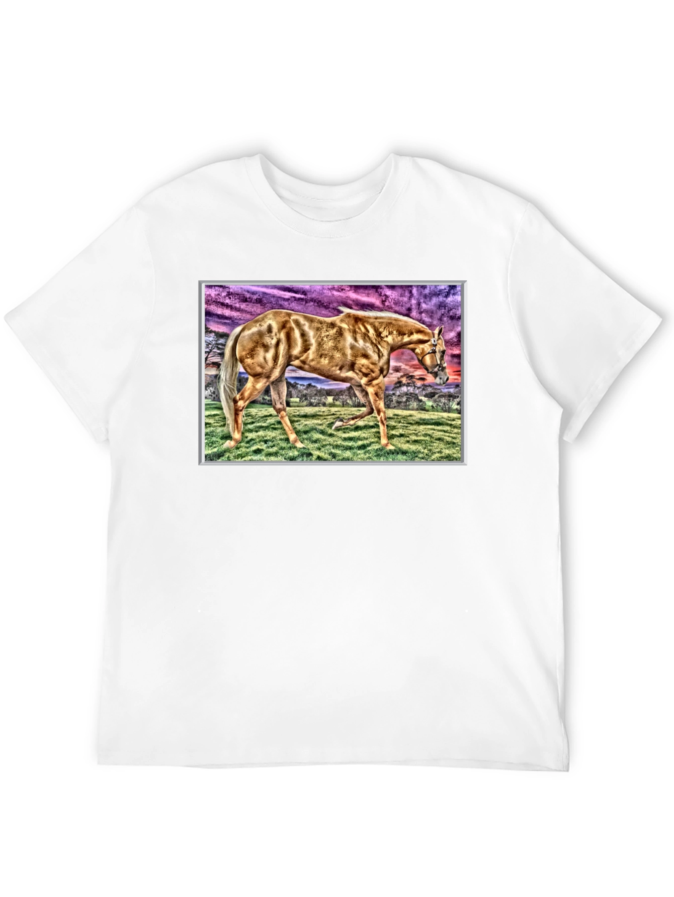 Horse Graphic Tee - Black Cotton Casual Shirt