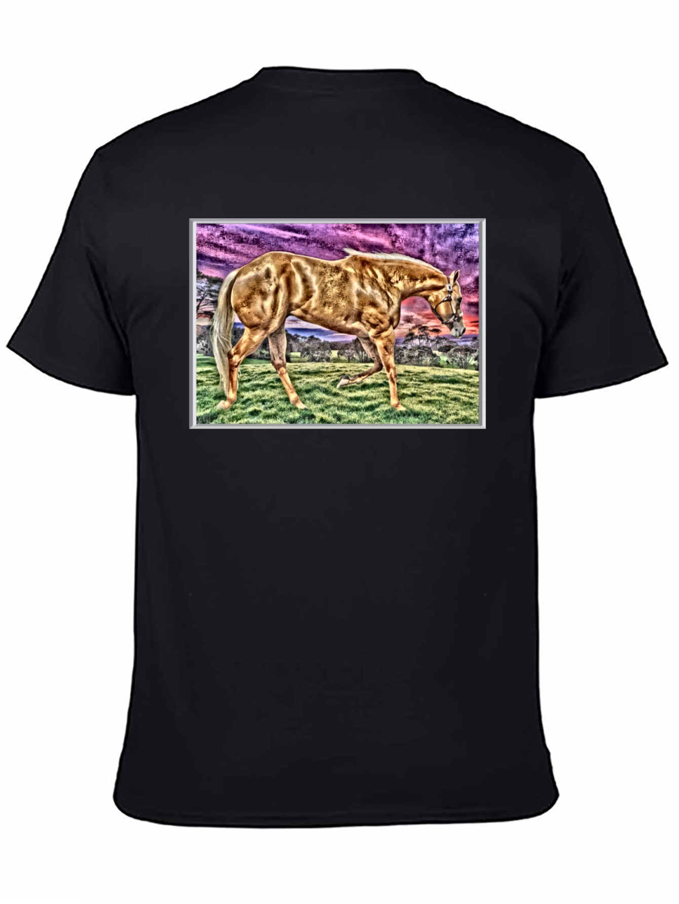 Horse Graphic Tee - Black Cotton Casual Shirt