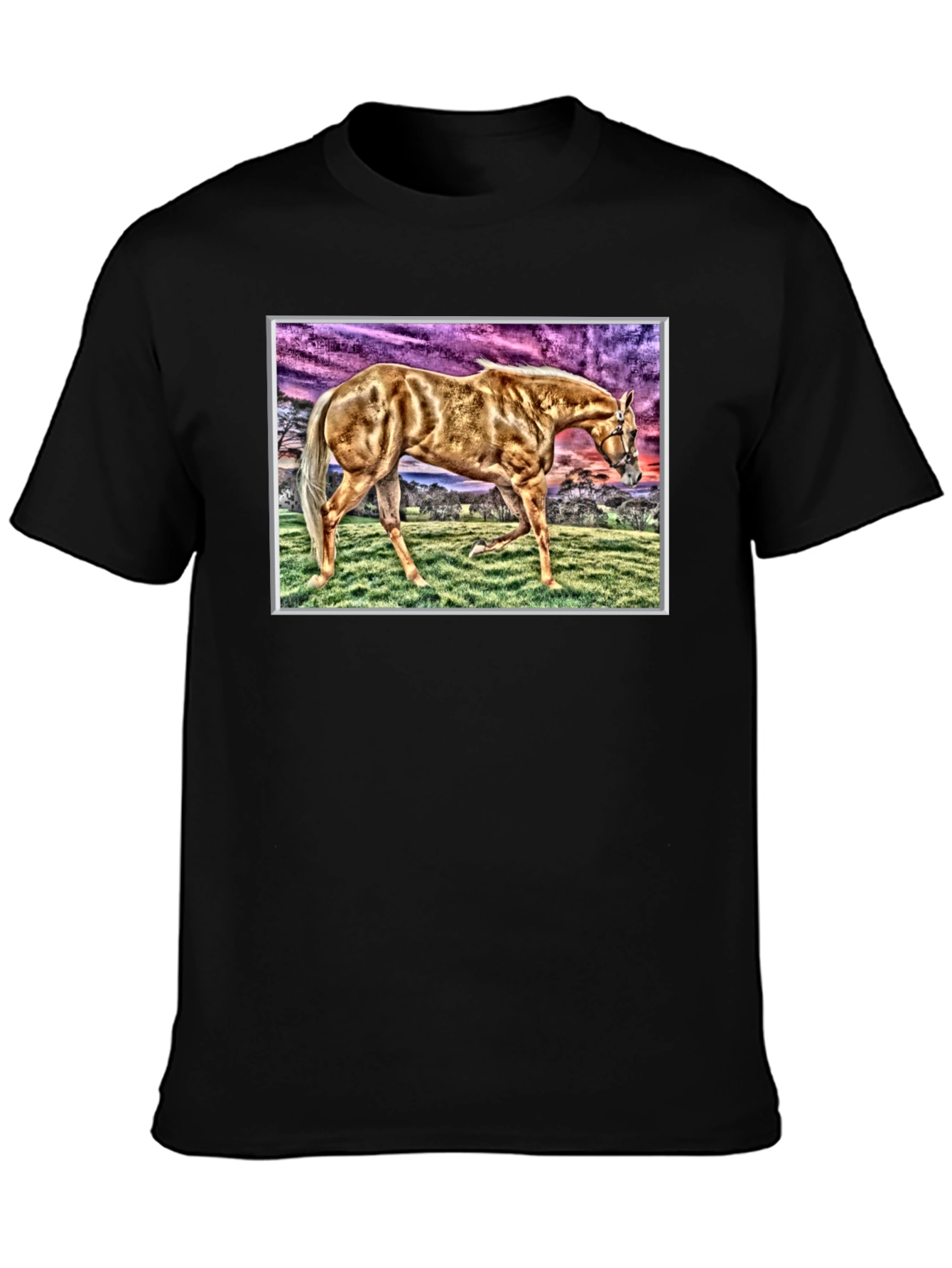 Horse Graphic Tee - Black Cotton Casual Shirt