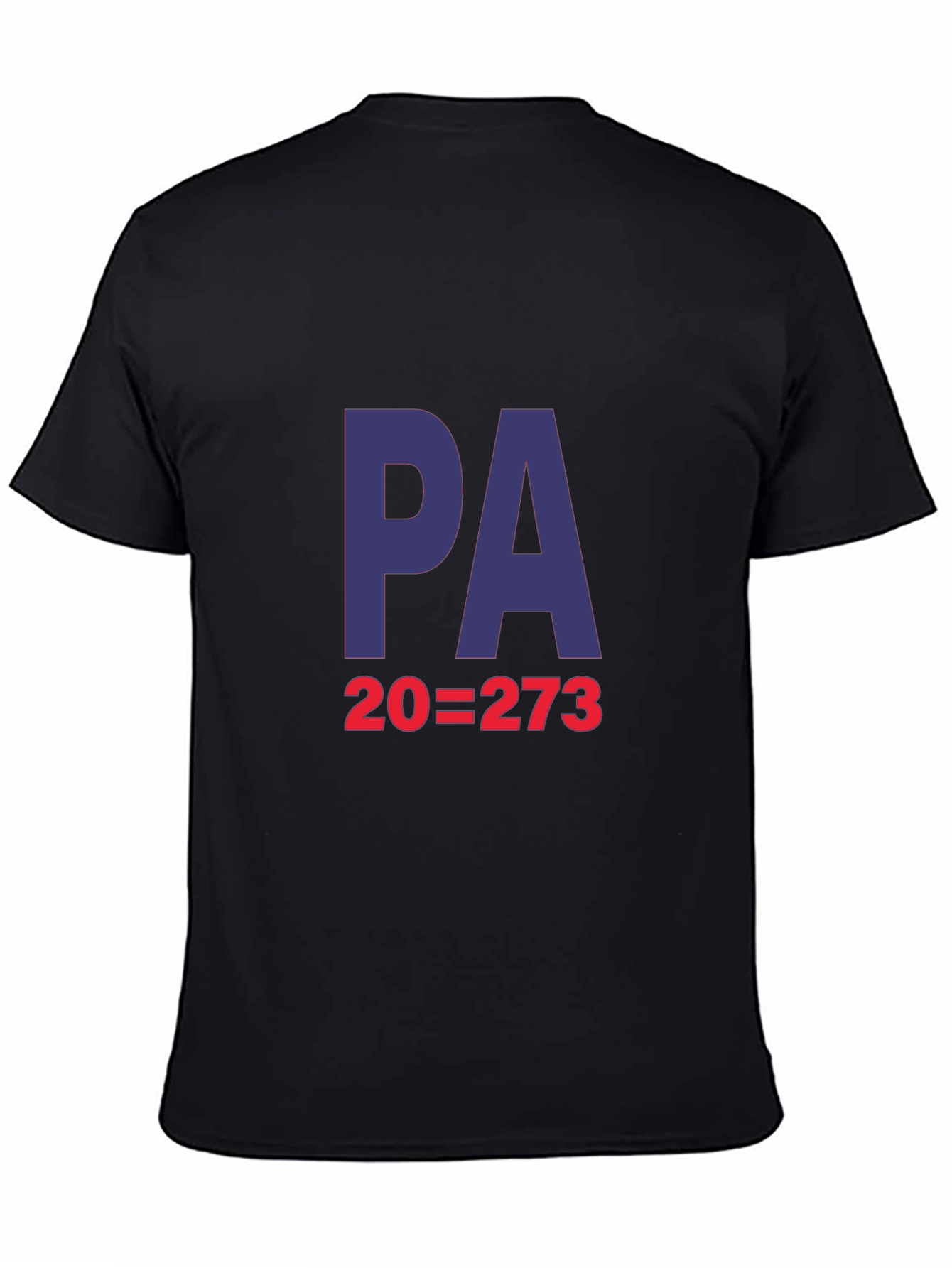 PA=273 T-Shirt - Classic Black Tee