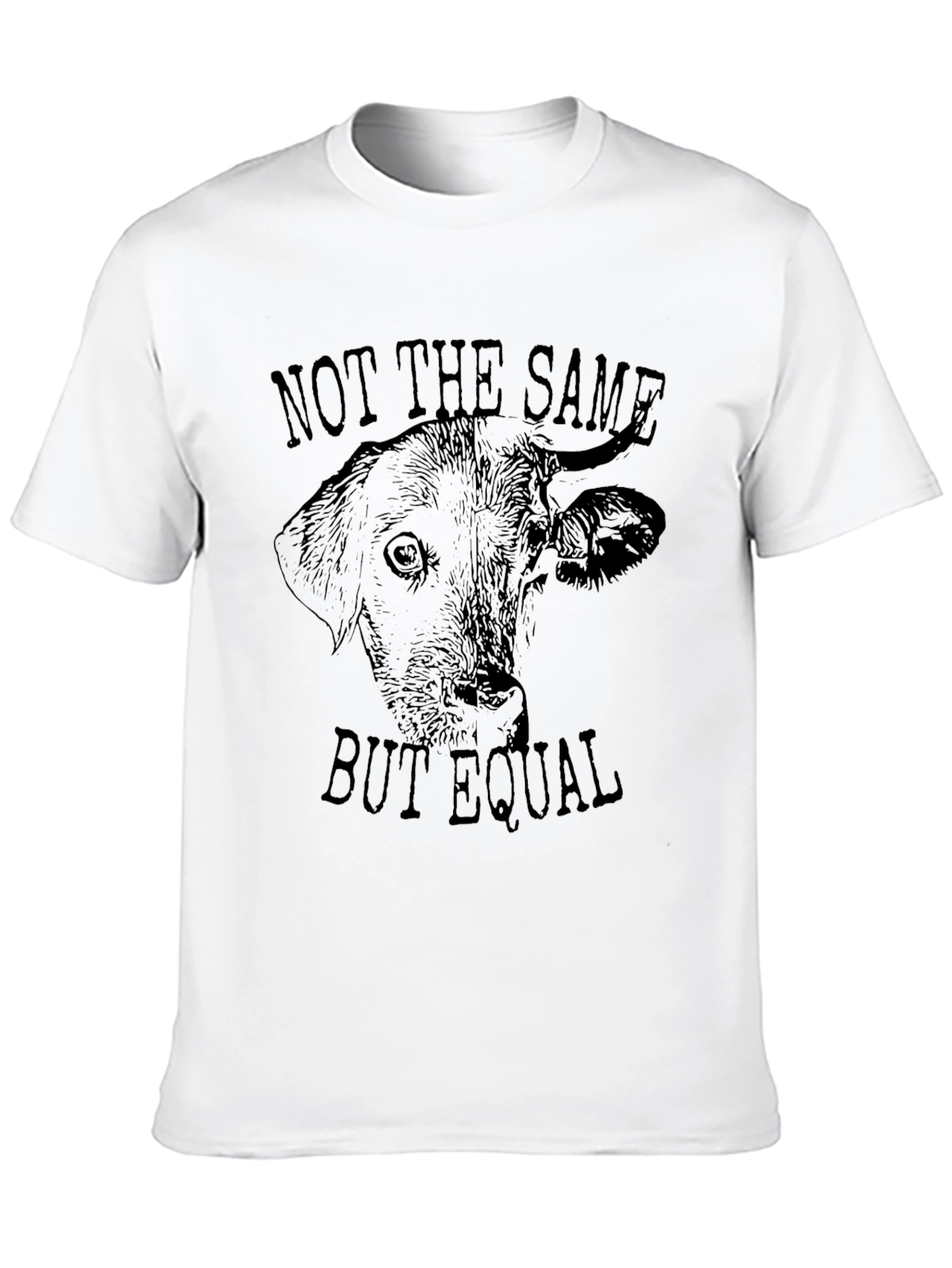 Not The Same But Equal Graphic T-Shirt