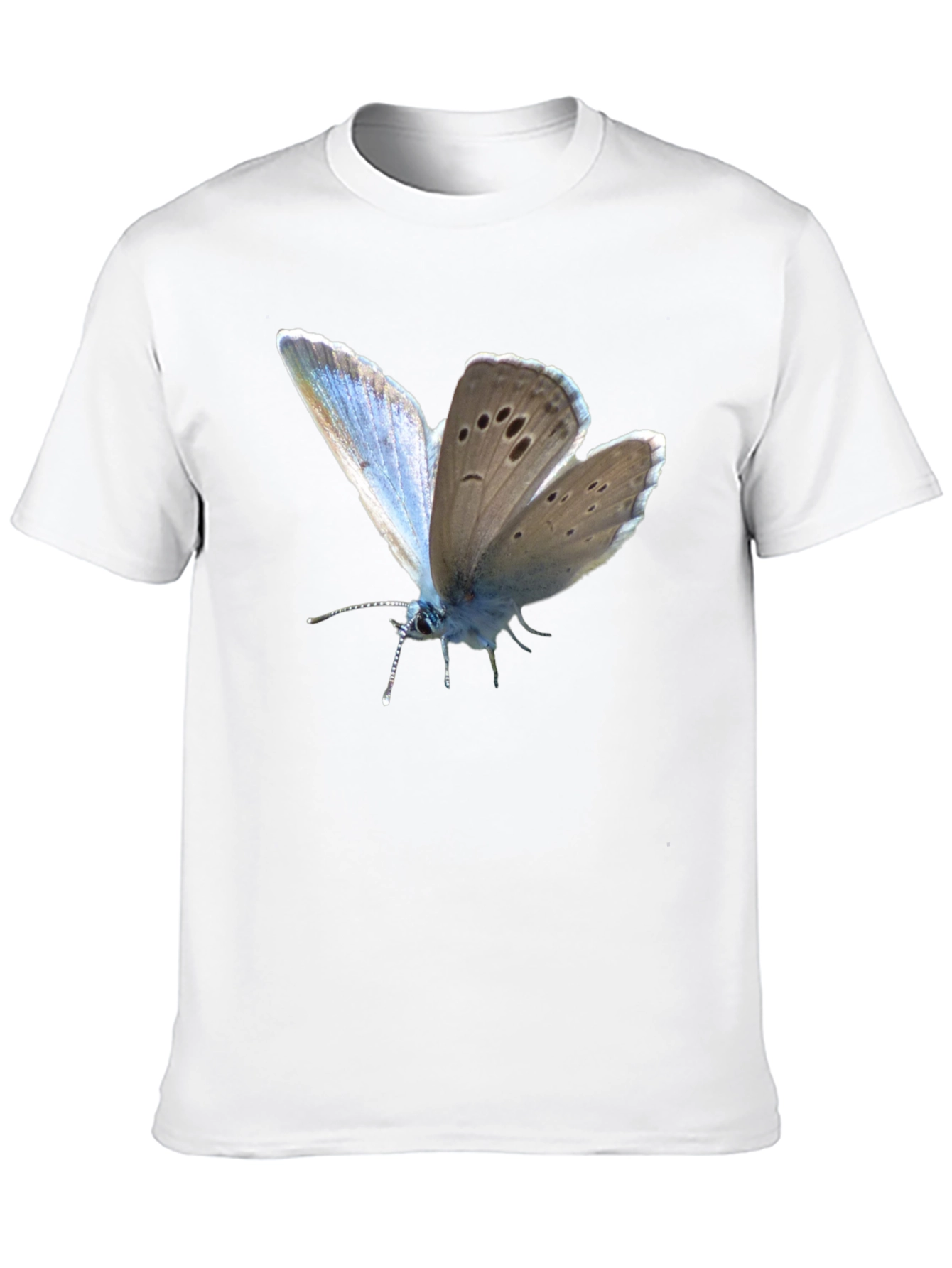 Butterfly Print Black T-Shirt