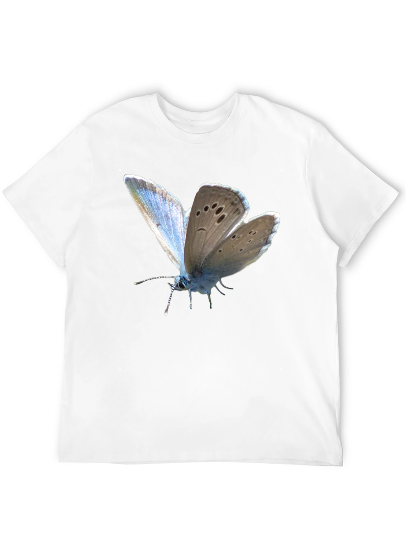 Butterfly Print Black T-Shirt