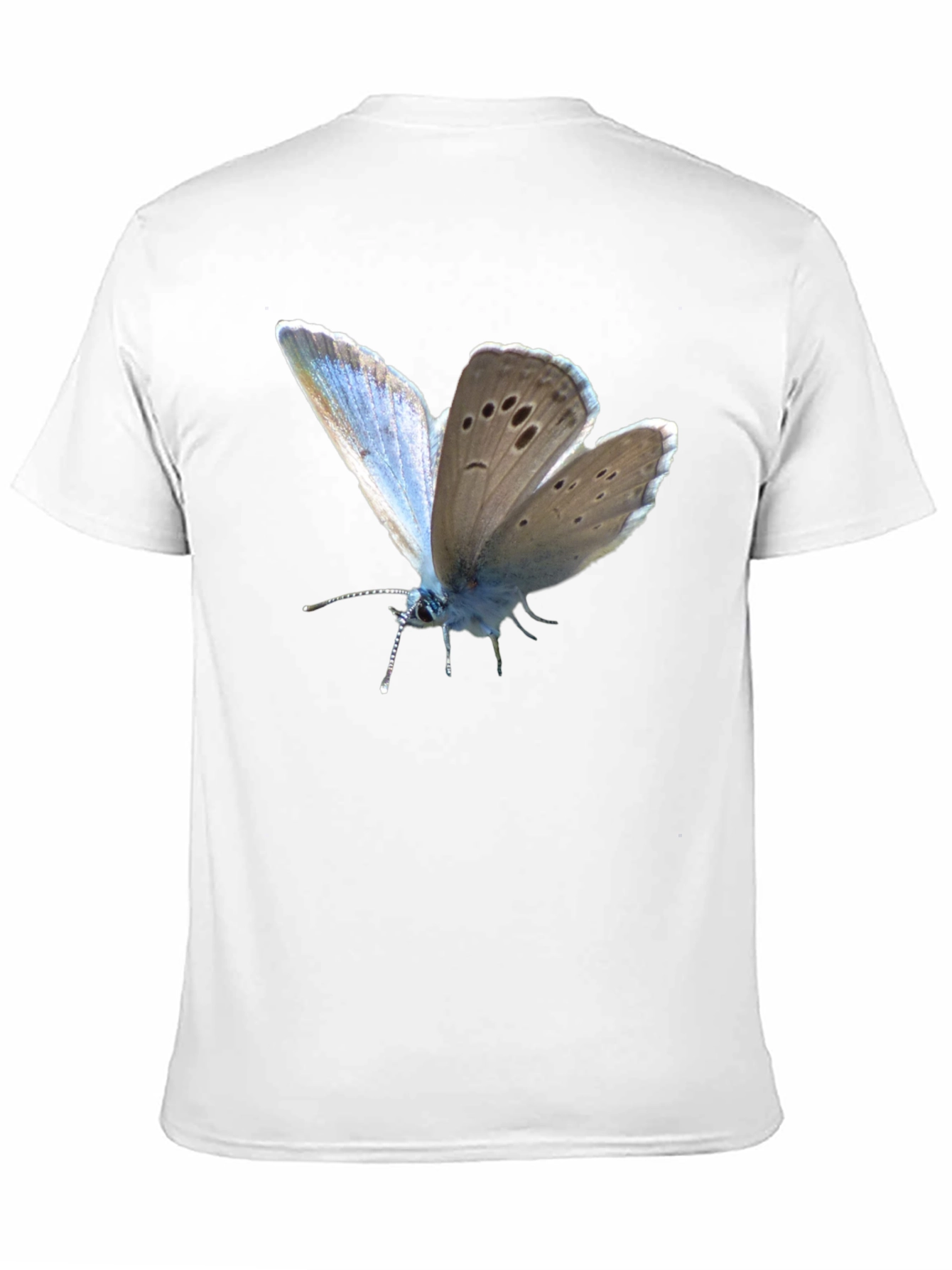 Butterfly Print Black T-Shirt