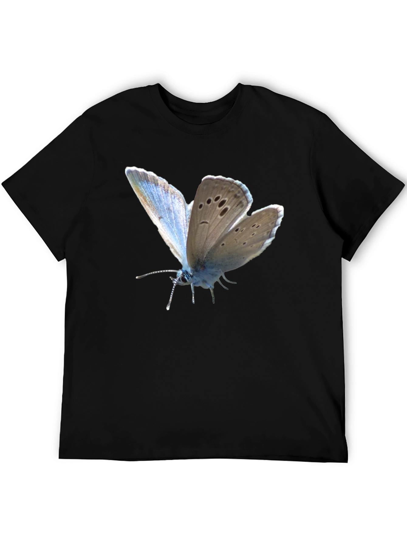 Butterfly Print Black T-Shirt