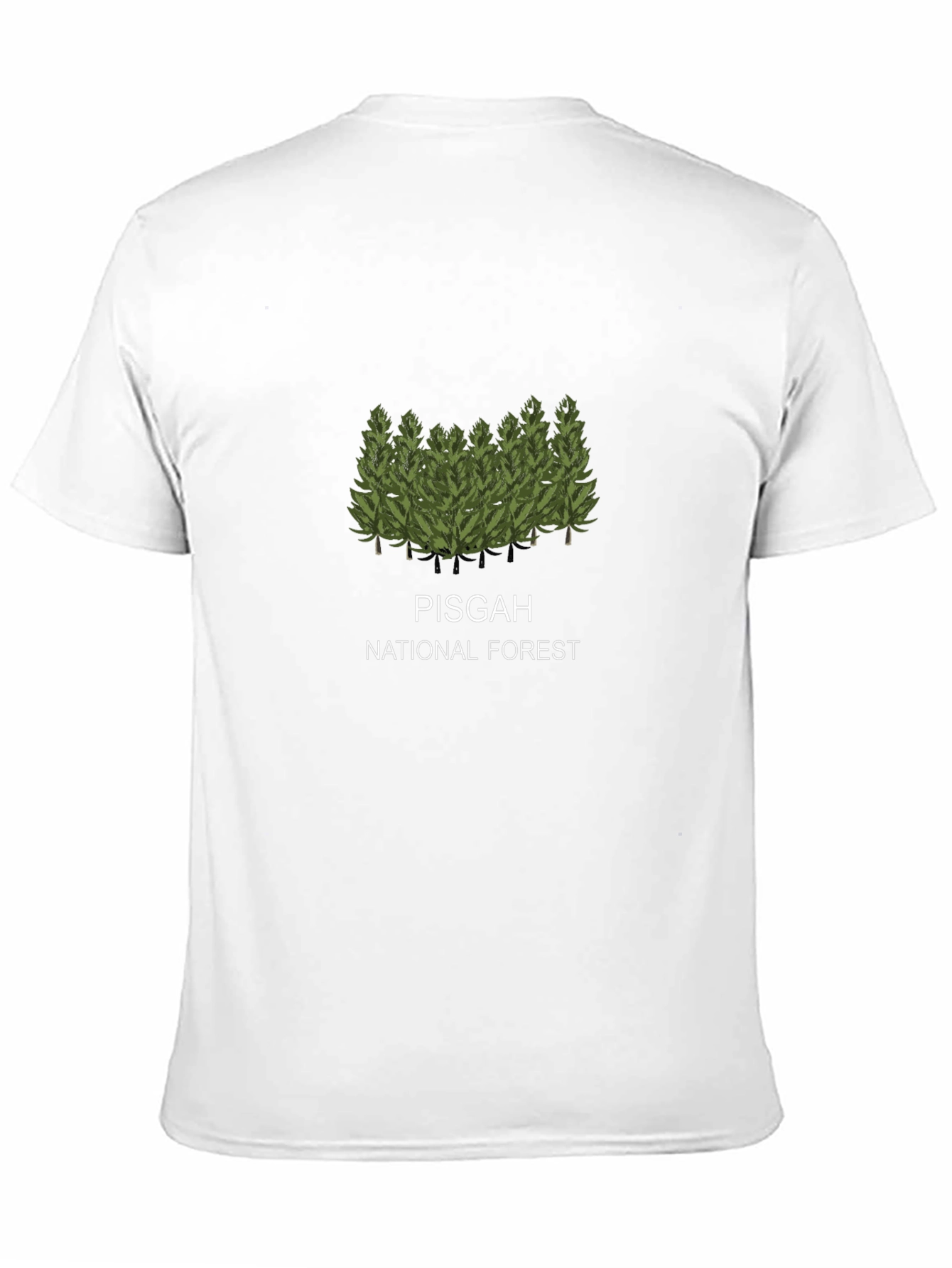 Pisgah National Forest Graphic Tee - Unisex