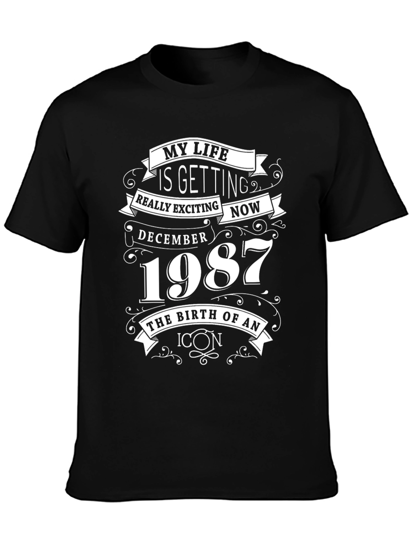 My Life Is Getting Really Exciting T-Shirt