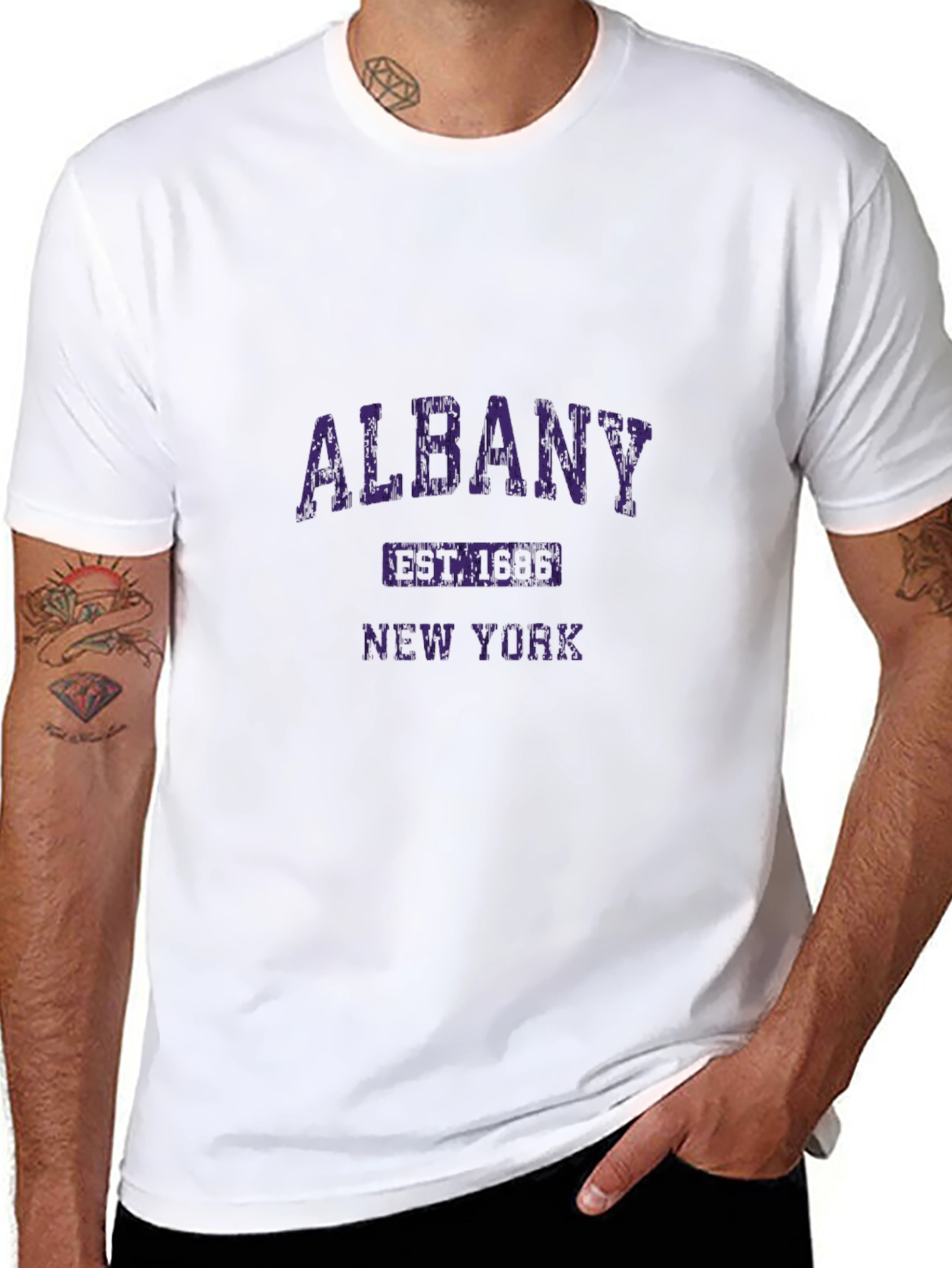 Albany New York Graphic T-Shirt