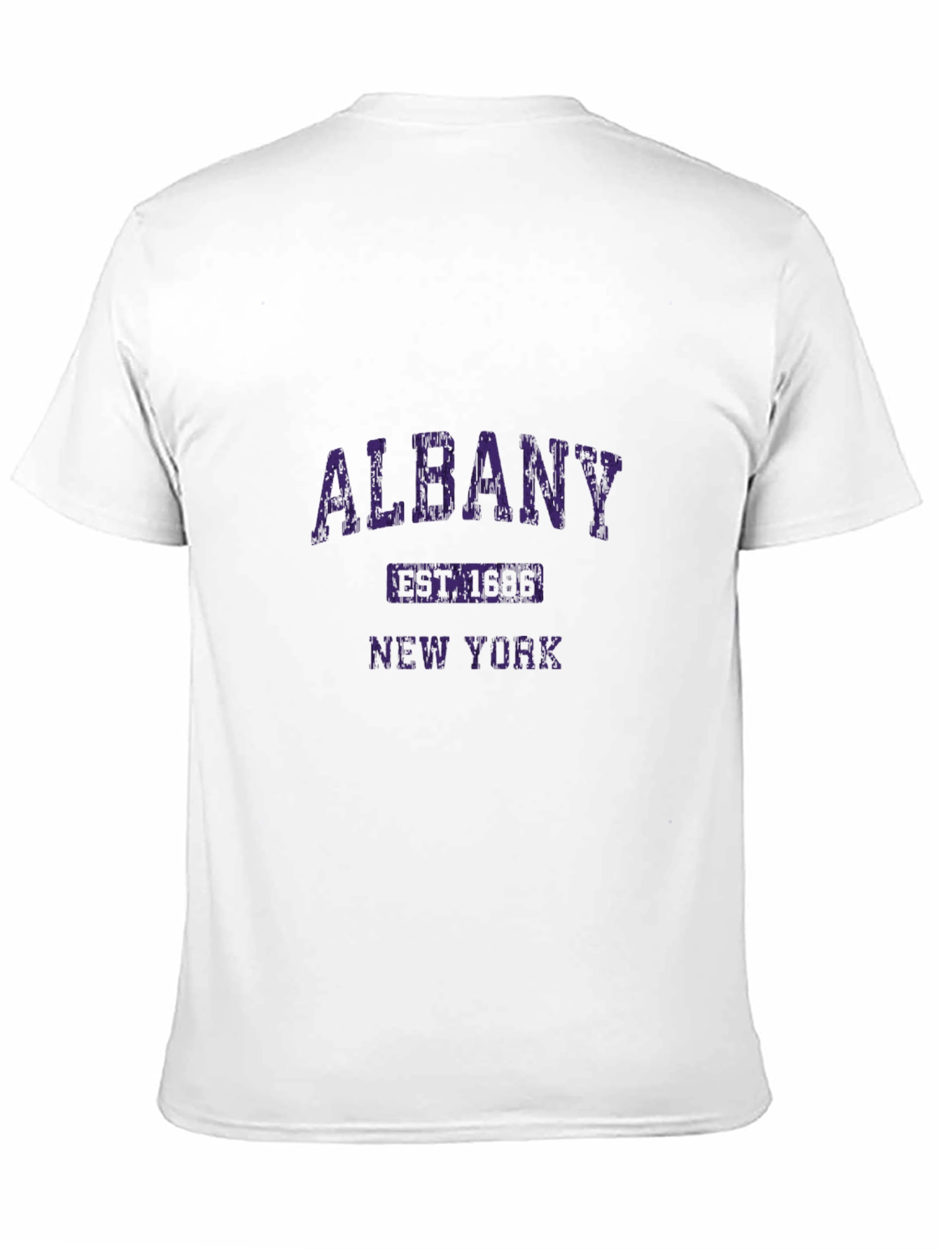 Albany New York Graphic T-Shirt